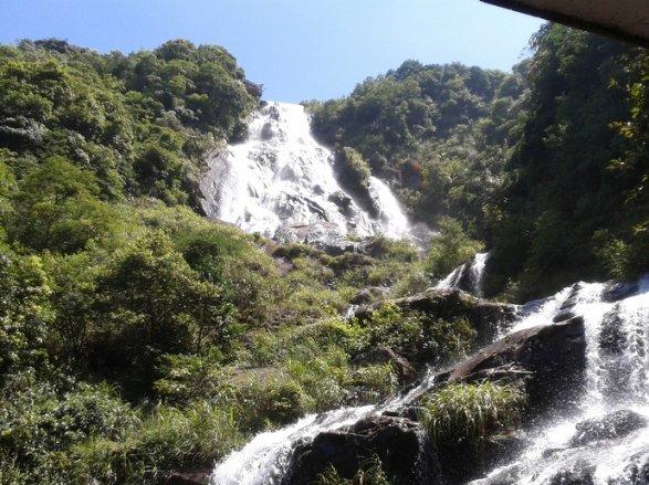 虫虫助手下载