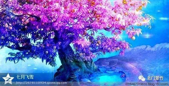 月光影视